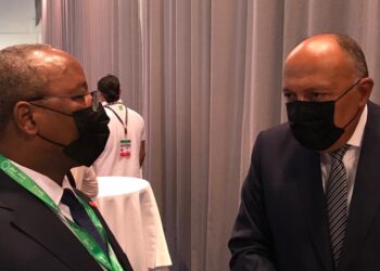 Choucri et son homologue nigérien examinent les relations bilatérales