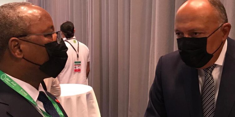 Choucri et son homologue nigérien examinent les relations bilatérales 2 - Le Progrès Egyptien Choucri et son homologue nigérien examinent les relations bilatérales 1 - Le Progrès Egyptien