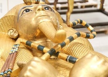 GME : Toutankhamon occupe 60% des vitrines