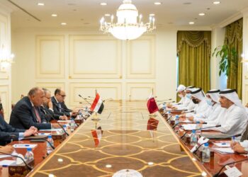 Choucri à Doha pour examiner les multiples dossiers