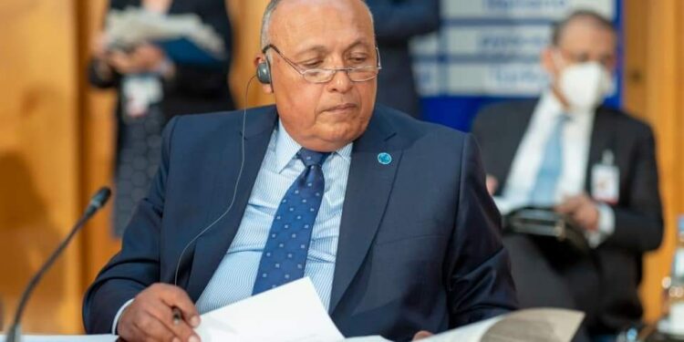 Choucri présente ses condoléances à son homologue algérien 1 - Le Progrès Egyptien