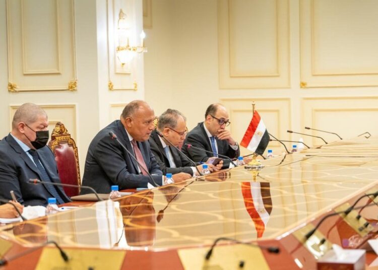 Choucri à Doha pour examiner les multiples dossiers