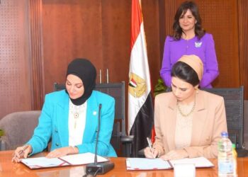 La Diaspora soutient “Une vie décente”