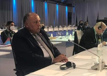 Choucri exige une fin des Ingérences étrangères en Syrie pour y instaurer la paix