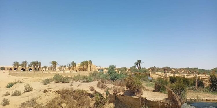 Réserves de Fayoum : Protection des ressources naturelles 1 - Le Progrès Egyptien