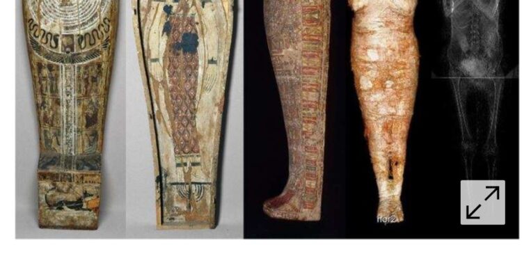 Futura sciences: Découverte d'une femme enceinte embaumée 1 - Le Progrès Egyptien