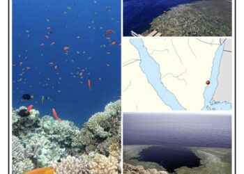 Les Egyptiens au premier rang