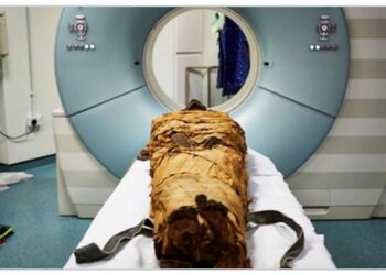 Neozone : Incroyable ! Une momie parle !