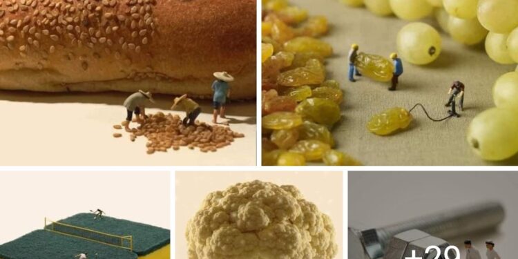 Créativité 1 - Le Progrès Egyptien