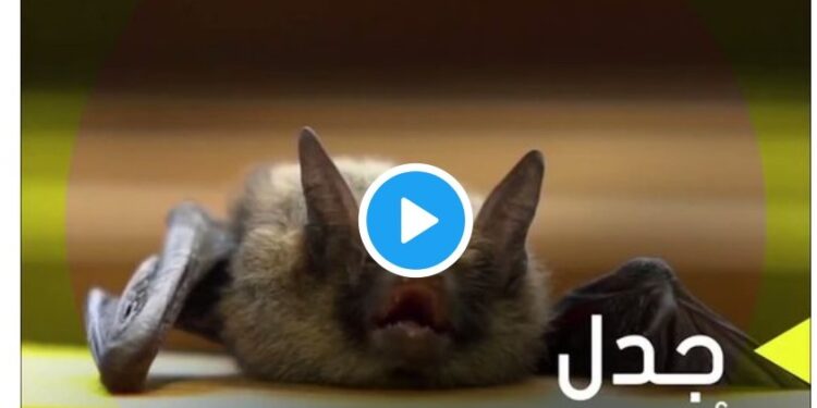 Un accident de laboratoire ? 2 - Le Progrès Egyptien Un accident de laboratoire ? 1 - Le Progrès Egyptien