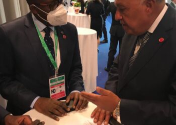 Choucri examine avec son homologue congolais les développements du barrage de la Renaissance