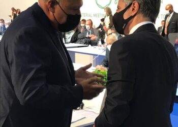 Rome : Choucri s’entretient avec son homologue américain Blinken