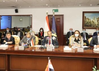 Egypte-Irak :  Des projets pour la transformation numérique