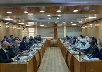 Communiqué conjoint sur la réunion des ministres égyptiens et soudanais des AE et de l’Irrigation