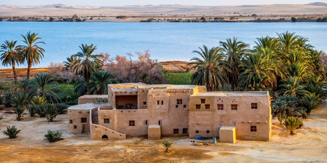 Encourager l’investissement à Siwa 2 - Le Progrès Egyptien Encourager l’investissement à Siwa 1 - Le Progrès Egyptien
