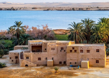 Encourager l’investissement à Siwa