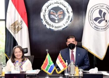 Egypte – Afrique du Sud : Stimuler les investissements