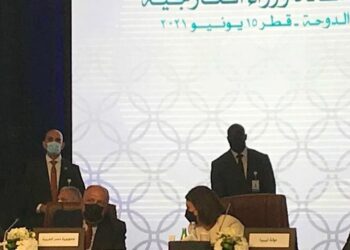 L’Egypte soutient les règlements de toutes les questions arabes