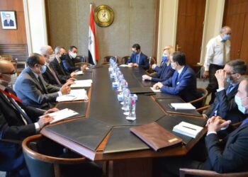 AE: L’Egypte et la France examinent leurs relations distinguées