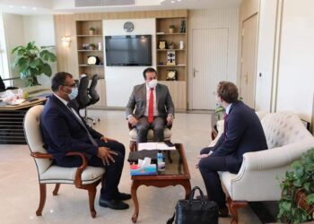 Egypte-Allemagne : Développer l’enseignement technique