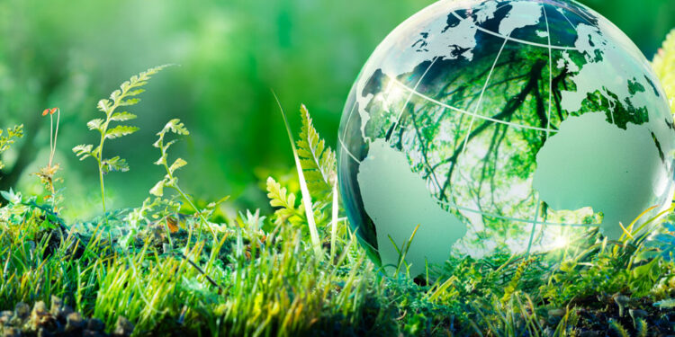 Egypte : Droit à un environnement sain 2 - Le Progrès Egyptien Egypte : Droit à un environnement sain 1 - Le Progrès Egyptien