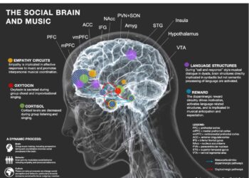 Les effets de la musique collective sur le cerveau