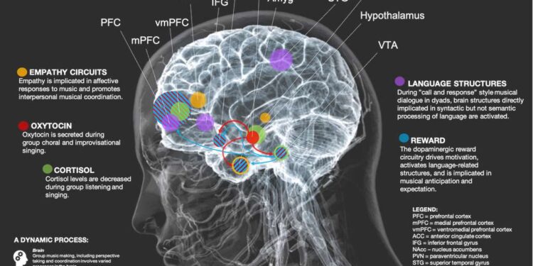 Les effets de la musique collective sur le cerveau 1 - Le Progrès Egyptien