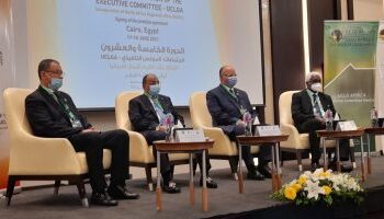 Vif intérêt de l’Egypte pour l’Afrique