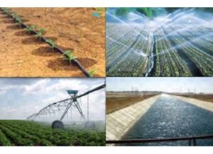 Le miracle se réalise 16 - Le Progrès Egyptien Le miracle se réalise 15 - Le Progrès Egyptien