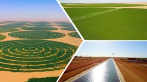 Le miracle se réalise 14 - Le Progrès Egyptien Le miracle se réalise 13 - Le Progrès Egyptien