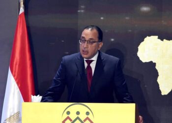 L’Egypte veut booster l’économie en Afrique
