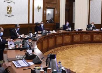 Alexandrie : Suivi des projets  de développement et de service