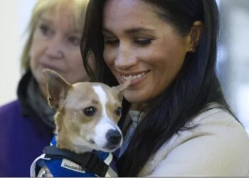… et Meghan Markle proclame son amour pour les animaux