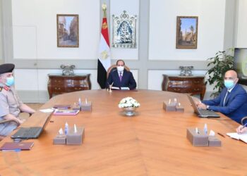 Al-Sissi s’informe du plan de création de la 1ère usine de tannerie du cuir du genre en Afrique et au M-O