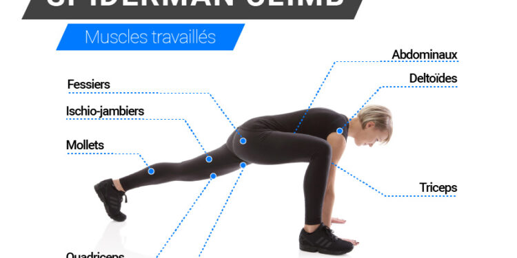 Spiderman climb : Un bon exercice cardio 2 - Le Progrès Egyptien Spiderman climb : Un bon exercice cardio 1 - Le Progrès Egyptien