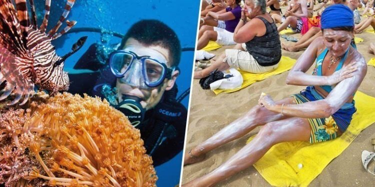 Vie marine : Optez pour les crèmes solaires sûres 2 - Le Progrès Egyptien Vie marine : Optez pour les crèmes solaires sûres 1 - Le Progrès Egyptien