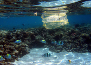 Réduire l’utilisation des sacs plastiques