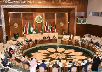 Al Assoumi: La révolution du 30 juin a entamé une nouvelle ère de développement global