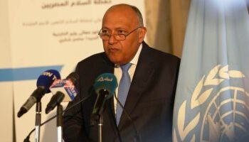 Choucri participe à la seance spéciale du conseil de sécurité sur le GERD