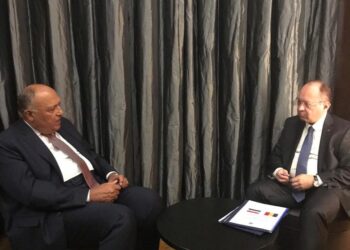 Choucri examine avec son homologue roumain la coopération bilatérale