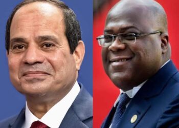 Appel Al-Sissi –  Tshisekedi autour de l’évolution du dossier de la Renaissance