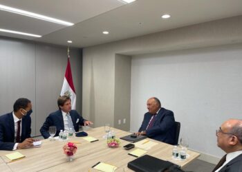 GERD: Choucri explique au representant de la France au conseil de securite la position de l’Egypte