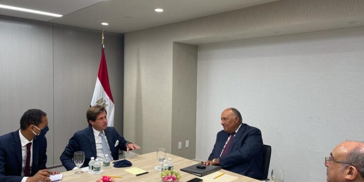 GERD: Choucri explique au representant de la France au conseil de securite la position de l'Egypte 1 - Le Progrès Egyptien