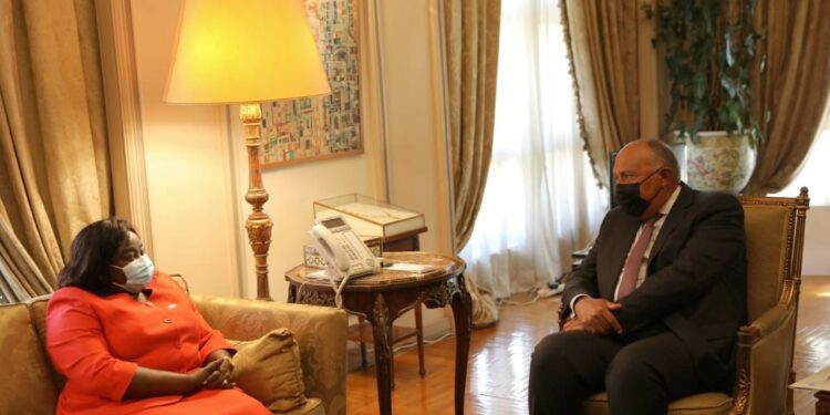 Choucri s'entretient avec la ministre des AE du Soudan du Sud 1 - Le Progrès Egyptien