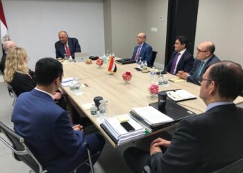 Choucri examine avec le représentant de l’Estonie auprès de l’ONU