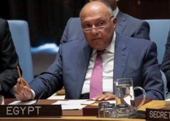 Choucri : L’intransigeance éthiopienne est la cause de l’échec des négociations