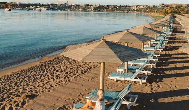 Les touristes russes reprennent le chemin des plages sinaïtiques 1 - Le Progrès Egyptien