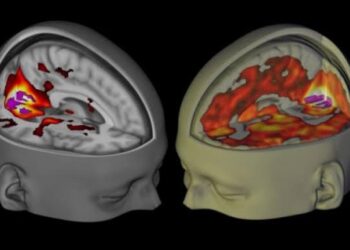 Pourquoi les effets hallucinogènes du LSD durent si longtemps ?