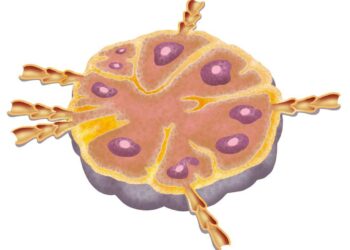 Le vaccin, une protection à vie contre le coronavirus ?