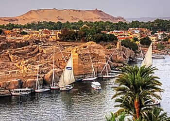 Assouan : Le développement de la campagne va bon train